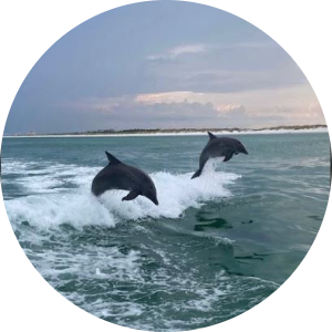 Marion Franklin available notary in Punta Gorda, FL - 33983